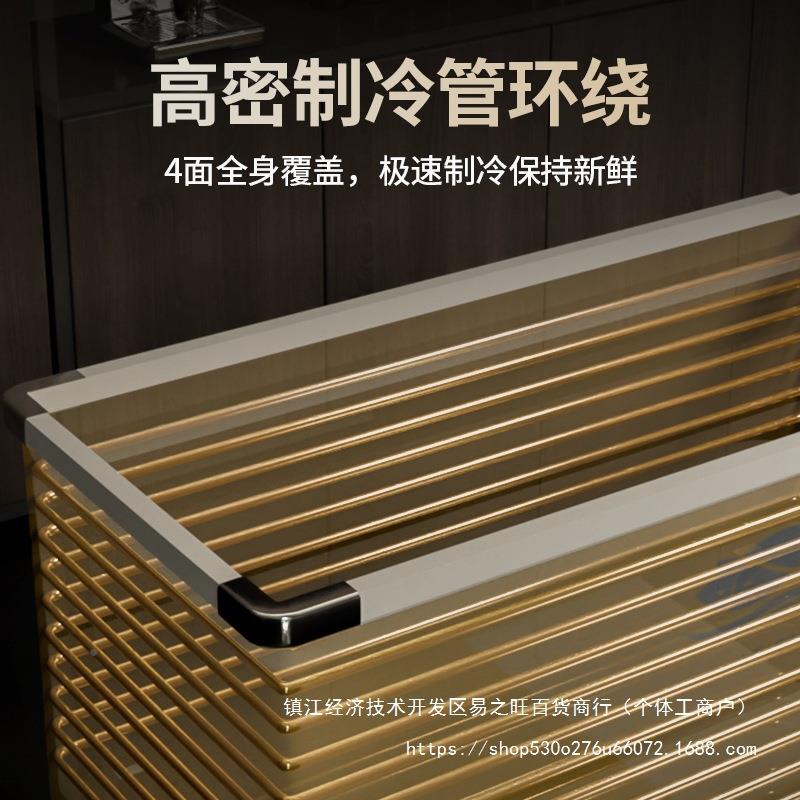 冰柜商透用大容量冷柜冰箱冷藏展示柜保冷67437冻用明玻两璃鲜卧