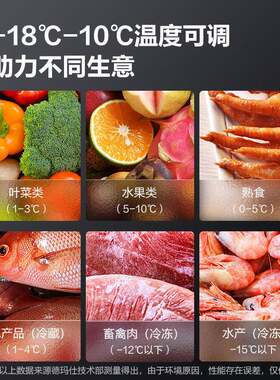 德玛商用WGN厨房保鲜冷藏工台二级能效仕房厨卧式操作台作冰柜