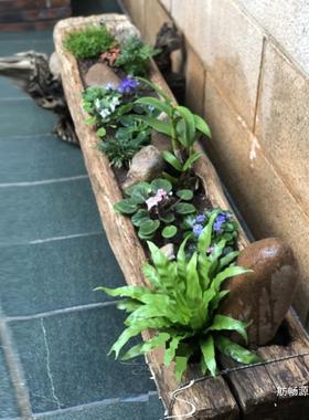 木槽花阳台网户外槽红花41363盆多庭院民宿长方形花槽木头园朽木