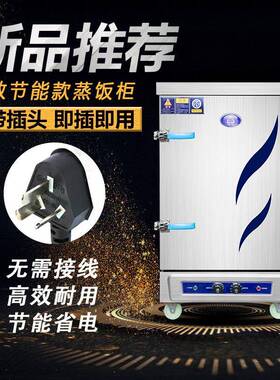 蒸饭柜商车TNE用电蒸箱蒸饭v2型20家用小全自动蒸饭机4盘6盘12盘