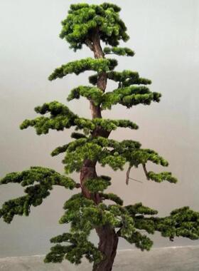 真松树客15365松假树景观酒店装饰迎罗汉松造景落楼梯展仿厅玄垒