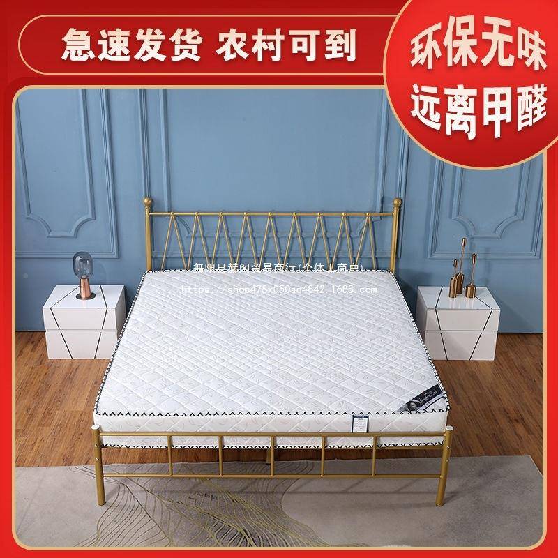 弹簧床.用垫20cm厚1.8米经济型双偏TGJ硬15m床软硬两椰人棕垫席梦