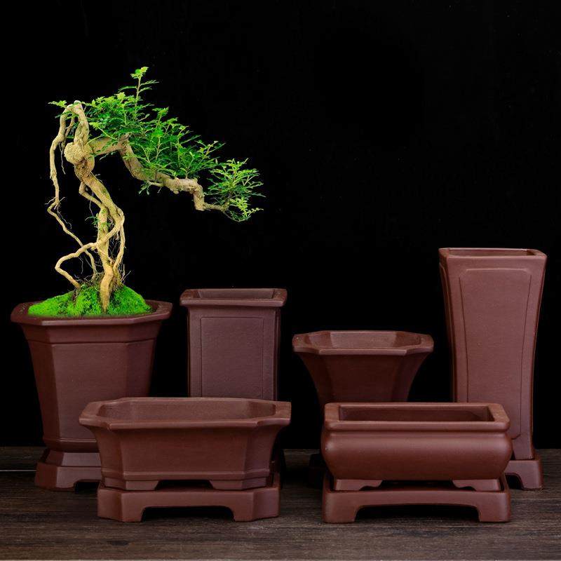 宜兴紫砂花盆方形盆景盆带底座老庄绿植松柏文竹黑松盆栽园艺,工业油品/胶粘/化学/实验室用品,其他实验室设备,淘宝优惠券,粉丝福利购,淘宝优惠卷
