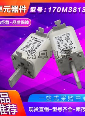 巴斯曼Bussmann熔断器170M3816D170M3817D170M3818D170M3819D