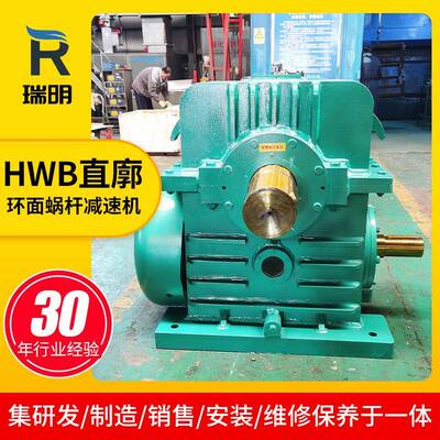 HWB100125160直廓环面蜗杆减速机直线蜗杆轴向截面齿廓减速机