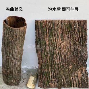 天然树皮干树皮真树皮包柱子柳树皮包裹装饰水管暖气管道树皮新品