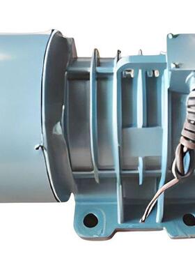 原装进口德国FRIEDRICH196262195436振动电机