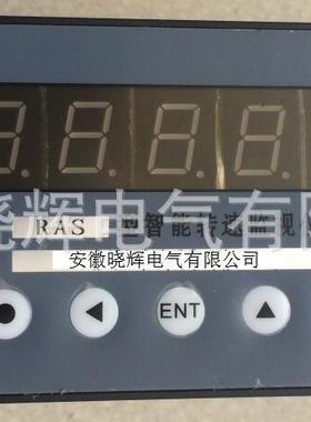 智能转速监视仪RAS测速仪数字转速仪