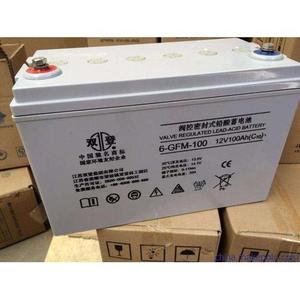 双登蓄电池12V100AH双登6-GFM-100蓄电池电瓶质保三年