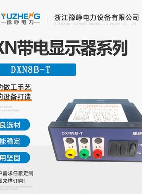 DXN8B-Q带电显示装置DXN8D-Q3(S)带验电核相孔提示型带电显示器