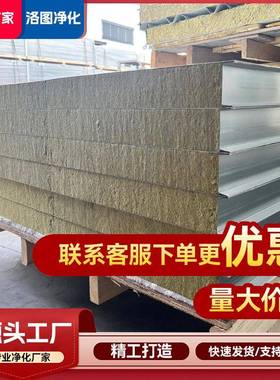 洁净板温净化板SNJ岩棉彩钢保顶板吊隔墙玻镁板改造间无尘车装修