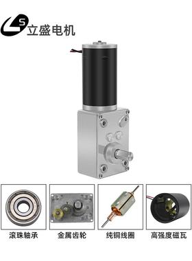 立58410-31ZY微型直流减速电机涡盛轮DXU蜗杆自锁调速慢速马达2V2