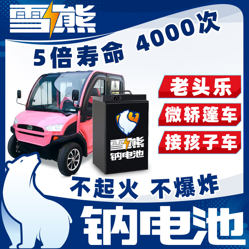 雪熊钠离子电池组平替48~72v锂电动篷车老头乐微轿接孩子三轮四轮