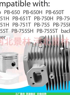 c替换A13000JSO1000A10002513气活塞套件兼容Eho背包鼓风机缸缸