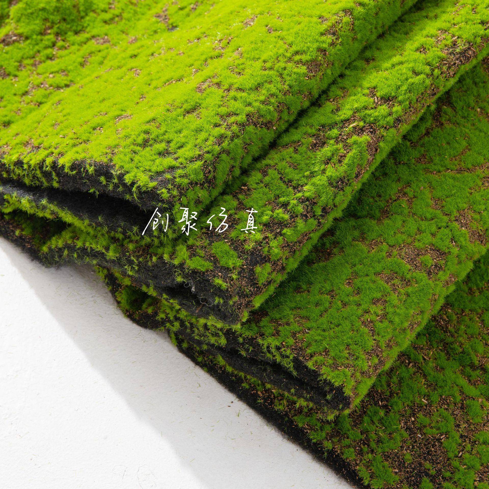 仿布苔草坪苔藓草坪青微景真观造景装饰绿植墙置假草坪人造CJ-001