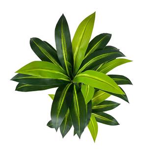 欧风真西铁巴木树室内客厅北落地HL0028装饰绿植庭院造仿景摆设假