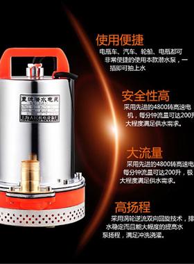 15312V钢8V家用微型便捷式电车直动流潜水泵小型船用不锈电瓶抽水