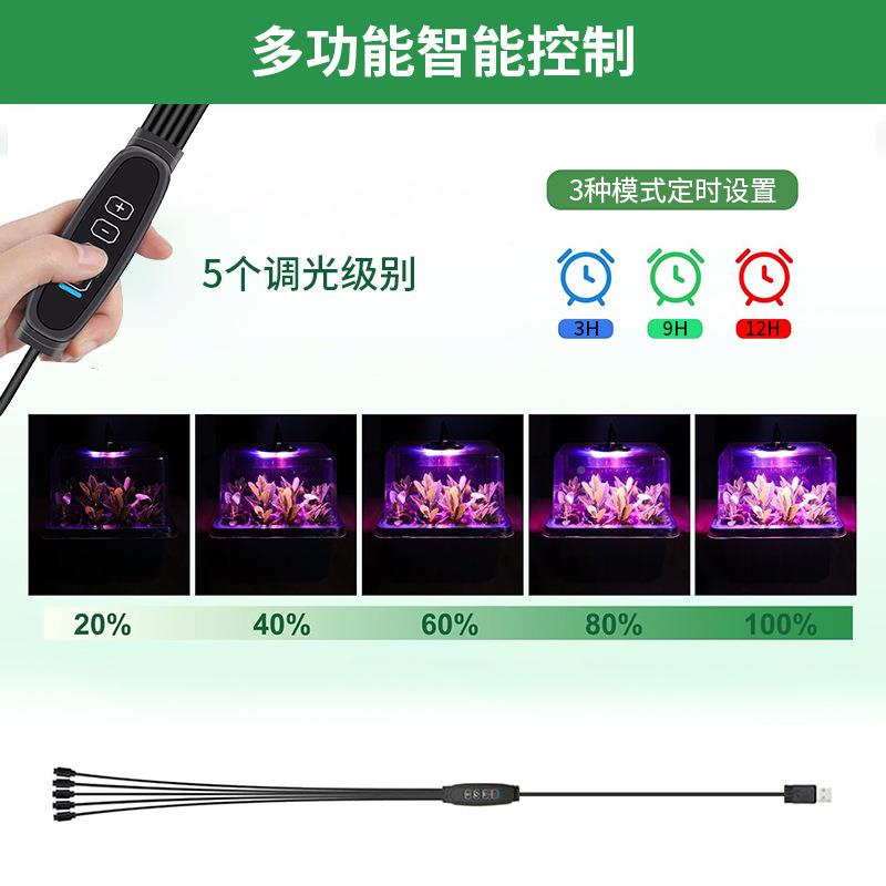新款高盖灯珠带多功能控制线盘育家用盒播种育苗苗6/八12孔WVL穴