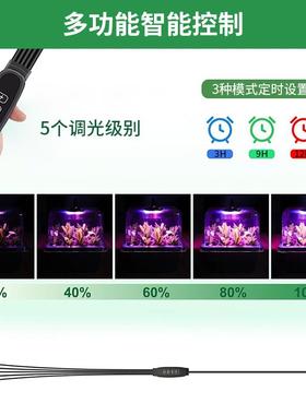 新款高盖灯珠带多功能控制线盘育家用盒播种育苗苗6/八12孔WVL穴