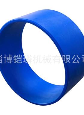 适用SEADOO4-TECGTX-LRXP-XRXT-X摩托艇耐磨环159MM