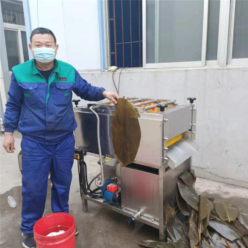 端午节洗粽叶机器叶类菜清洗机苇叶箬竹叶冬叶带水循环清洗设备
