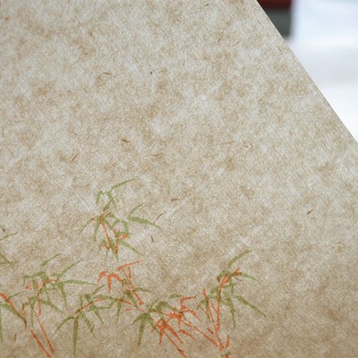 十竹斋小楷信纸花笺纸楮皮鹿胶笺木刻水印仿古半生熟信笺手工宣纸