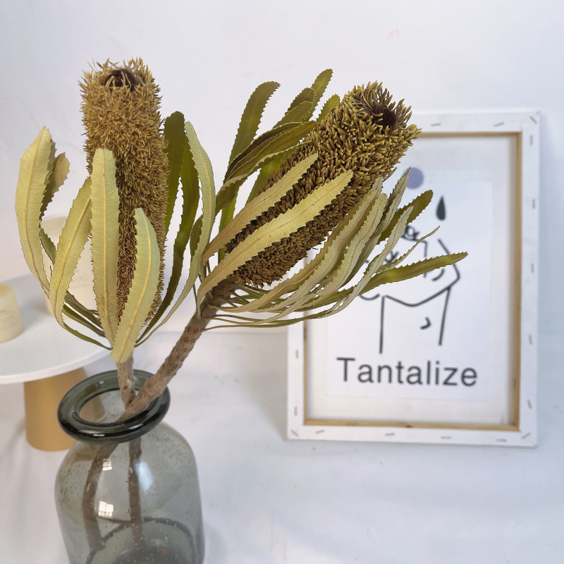 银花干花 枯枝枯叶干树枝复古插花摆件软装装饰花材