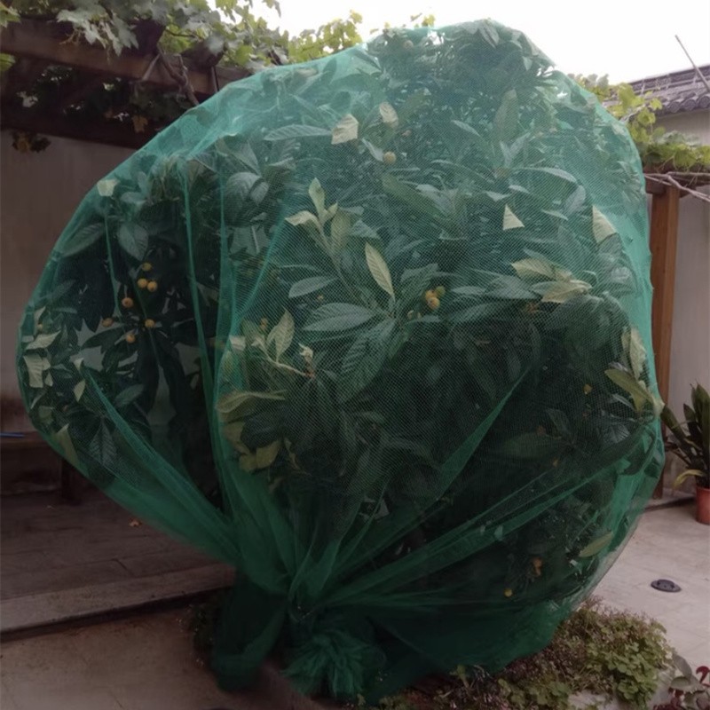 防鸟罩果树罩樱桃树防鸟网枇杷罩嘉宝果树防鸟罩子果园果树网防护