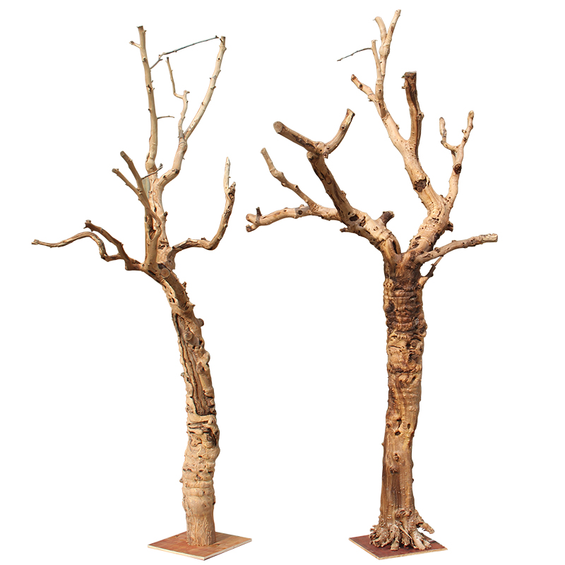 鹦鹉活鸟架落地衣架树枯树枝猫爬架造型树实木装饰枣树老桩超承重