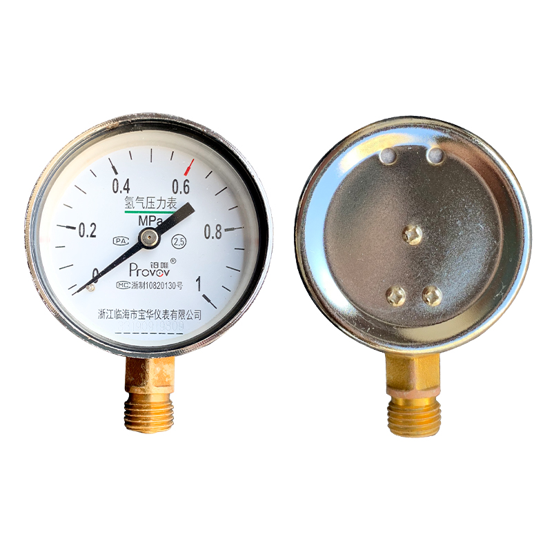 铂唯氢气压力表减压器H2表头(0.4/1/1.6/2.5/6/10/25)MPa