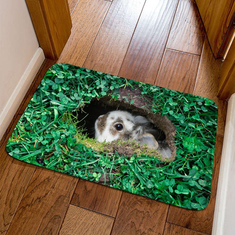 创意小猫进门地垫客厅家用卧室厨房卫生间脚垫玄关地毯可来图定制