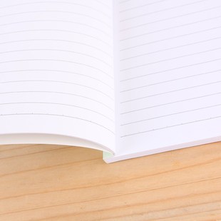 10本装 玛丽50k工作手册60页随身笔记本记事办公软抄文具商务便携