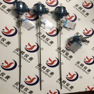 WZP-240带安装套管热电阻WZP2-44SA防爆型热电阻