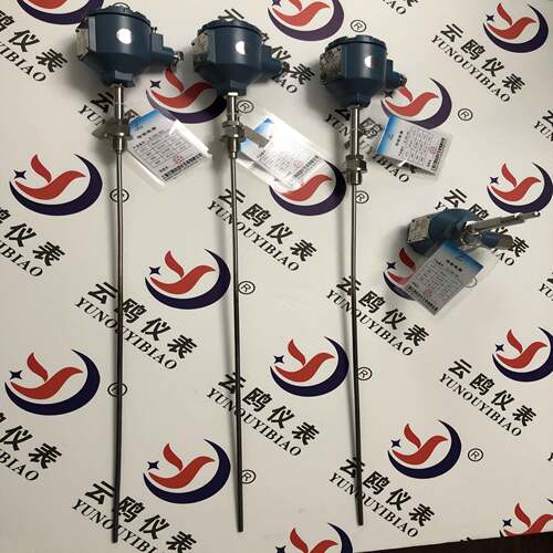 WZP-240带安装套管热电阻WZP2-44SA防爆型热电阻