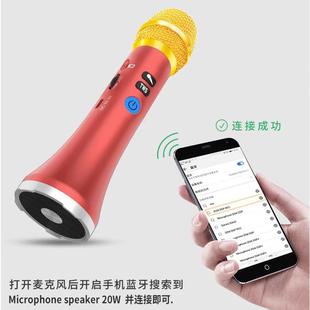 快乐相伴L 珍便携麦克风20W大功率儿童K歌宝无线掌上KTV 1258袖