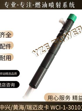 28382353喷油器总成适用于德尔福中兴/黄海/瑞迈皮卡WCI-1-30101