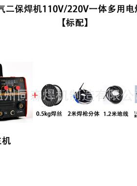 IG-20美规/无气也能焊二保0焊机110V220V多功能家用91790电焊M机