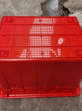 上料海BME加厚塑箱长方形水产养殖鱼箱水多款尺养寸