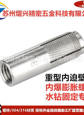 国NTS标爆胀螺丝内壁虎M栓12膨胀膨螺顶爆台式水钻专用固定顶爆螺