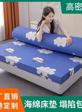高密加度厚人硬海绵床垫铺底床加褥单双学生宿舍海绵垫子NWV直供