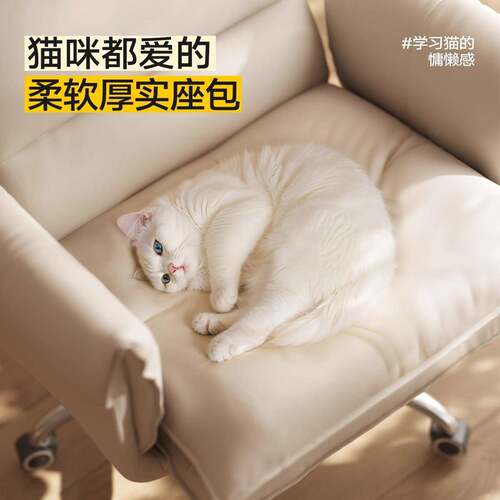 电脑椅子人体工椅家用懒人休N-ZL-DNY学闲靠背办公椅子电椅竞椅沙
