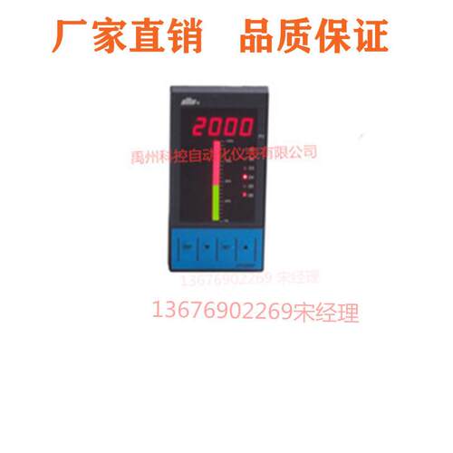 东辉仪表DY2000(JD)/DY22JD42/DY22JD54双色电接点液位显示仪表