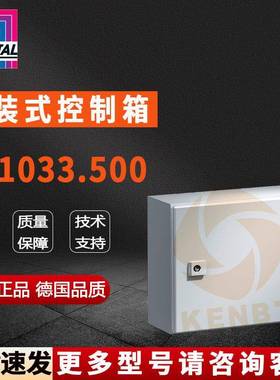 原装威图Rittal控制箱AE1033.500机箱1033500配电柜300*300*120mm
