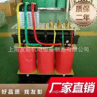双绕组整流三相励磁变压器380变100V直流变压器25KW30 100KVA