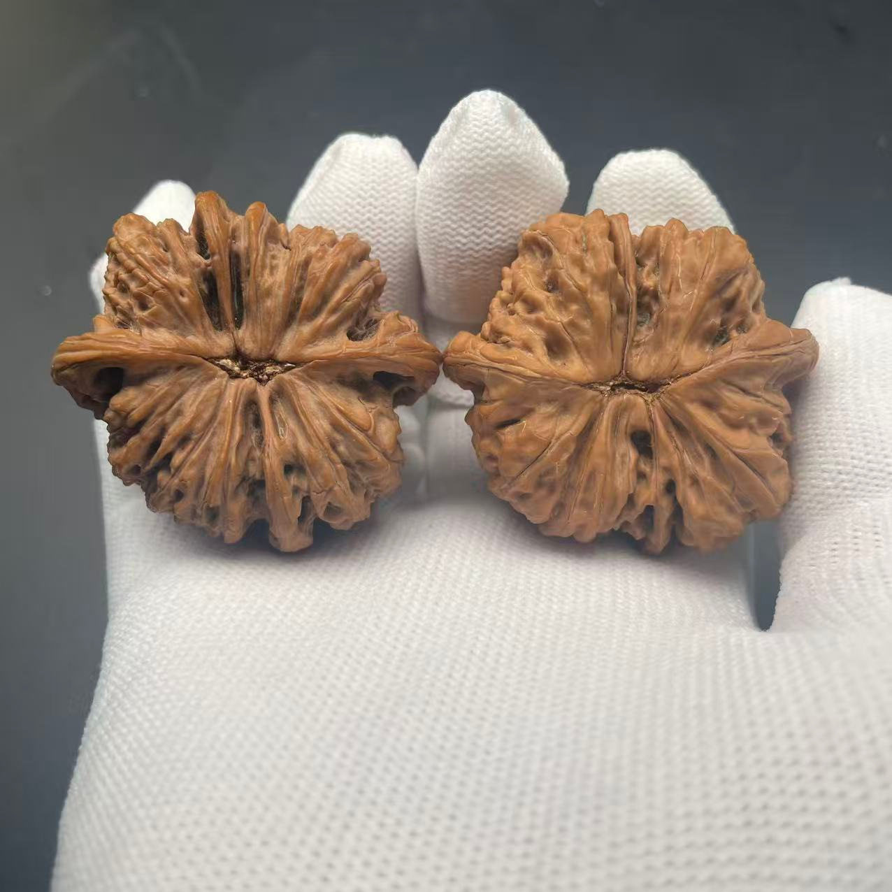 稀有白狮子四棱狮子头易包浆文玩核桃天然白狮子四棱文玩核桃