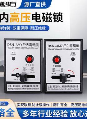 供应DSN-AMY/AMZ/BMY/BMZ/IYIZ交直流耐压绝缘户内高压电磁锁