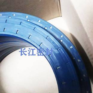 125 113 19德国CFW组合油封 19MSSLR85 REDKOMBI80