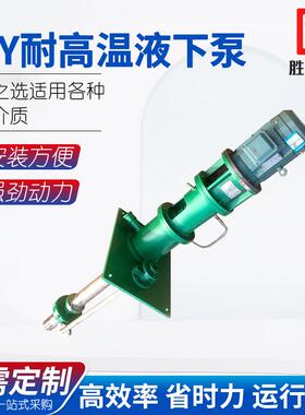 供应GFY型立式耐酸碱耐腐蚀耐磨液下泵耐高温液下泵