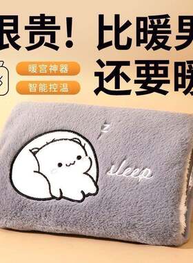 热水袋猫熊充电式暖手暖水袋宝暖宝宝电暖新款毛绒防爆肚子家居