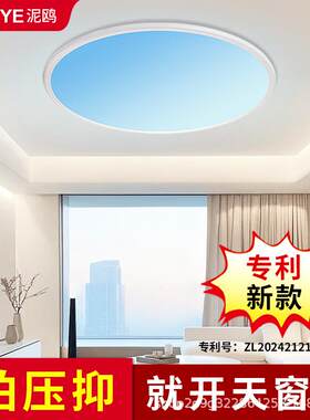 青晴空灯自然光蓝天窗超薄明装卧室60cm客厅直径80cm大圆形吸顶灯